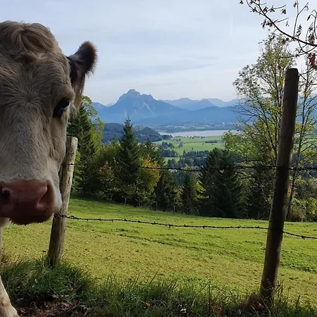 Alpenblick 5, Bergblick Pur Im Allgäu Apartment Halblech