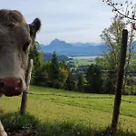 Alpenblick 5, Bergblick Pur Im Allgaeu Apartamento Halblech