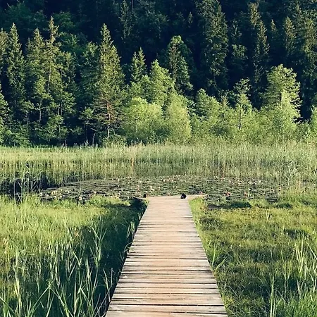Alpenblick 5, Im Allgaeu, Bergblick Pur - Neueroeffnung! * Halblech