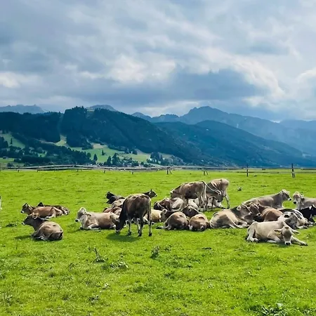 Alpenblick 5, Im Allgaeu, Bergblick Pur - Neueroeffnung! Apartment