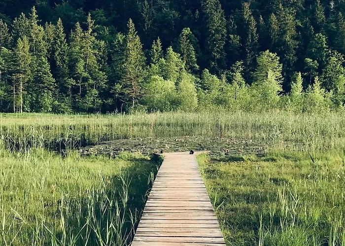 Alpenblick 5, Im Allgaeu, Bergblick Pur - Neueroeffnung! * Halblech