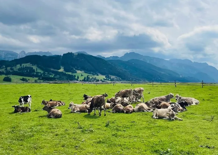Alpenblick 5, Im Allgäu, Bergblick Pur - Neueröffnung! Apartment