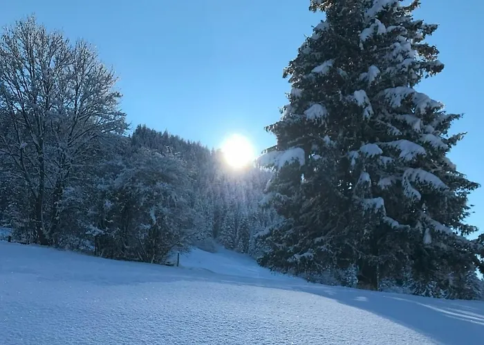 Alpenblick 5, Im Allgäu, Bergblick Pur - Neueröffnung!